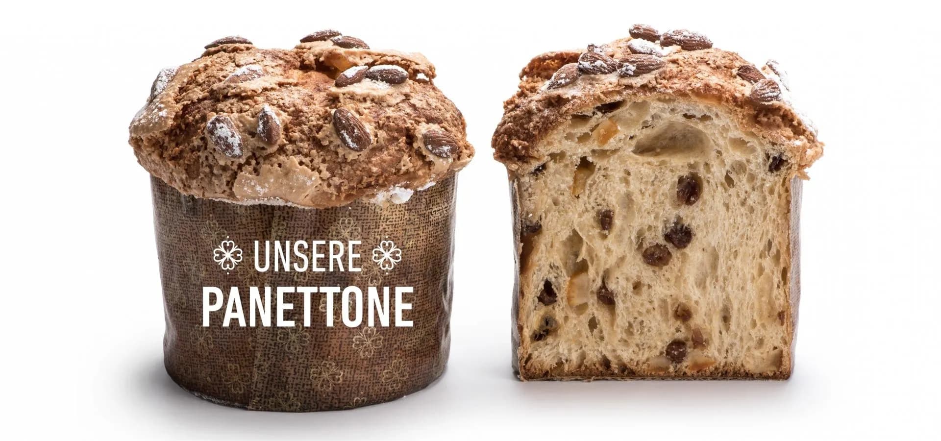 reichl_artofbaking_panettone 2